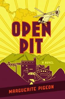 Open Pit Read online