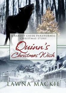 Quinn's Christmas Wish Read online