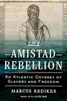 The Amistad Rebellion Read online