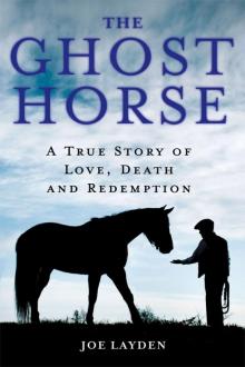 The Ghost Horse Read online