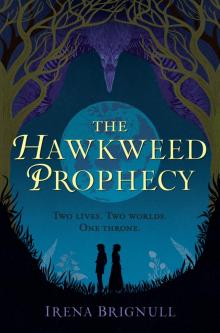 The Hawkweed Prophecy Read online