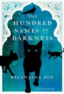 The Hundred Names of Darkness Read online