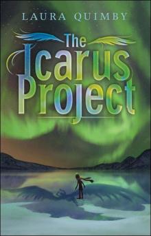 The Icarus Project Read online