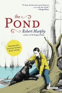 The Pond Read online