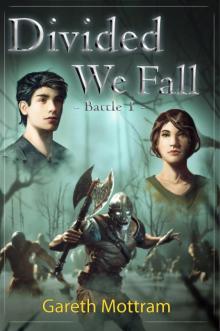 Divided We Fall Read online