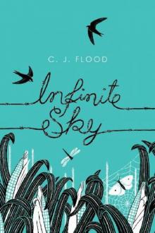 Infinite Sky Read online