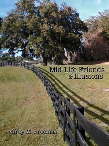 Mid-Life Friends and Illusions Read online