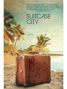 Suitcase City Read online