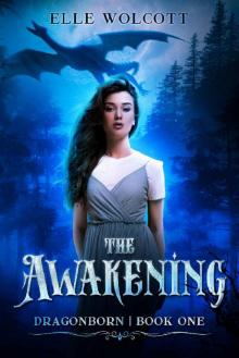 The Awakening Read online