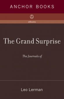 The Grand Surprise Read online