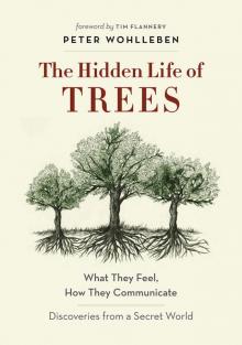 The Hidden Life of Trees: What They Feel, How They CommunicateDiscoveries from a Secret World Read online