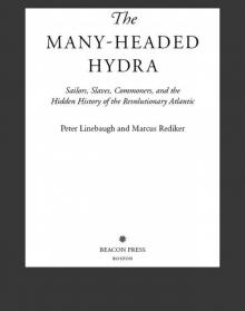 The Many-Headed Hydra Read online
