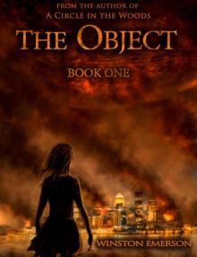 The Object: Book One (Object Series) Read online