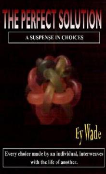 The Perfect Solution-A Suspense of Choices Read online