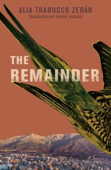 The Remainder Read online