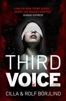 Third Voice Read online