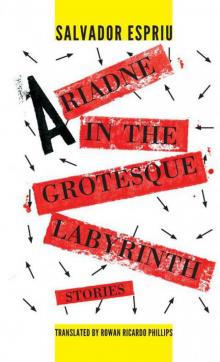 Ariadne in the Grotesque Labyrinth (Catalan Literature) Read online