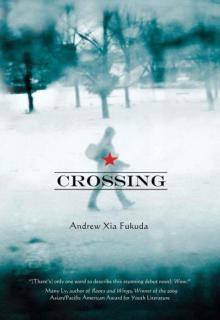 Crossing (2010) Read online