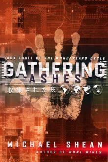 Gathering Ashes (The Wonderland Cycle Book 3) Read online