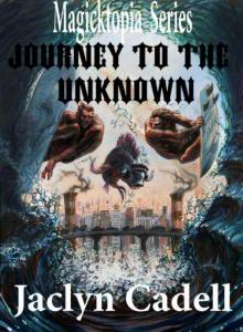 Journey to the Unknown Read online