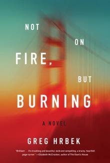 Not on Fire, but Burning: A Novel Read online