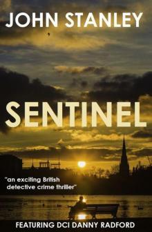 SENTINEL: an exciting British detective crime thriller Read online