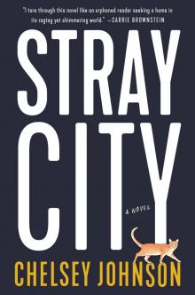 Stray City Read online