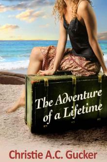 The Adventure of a Lifetime Read online