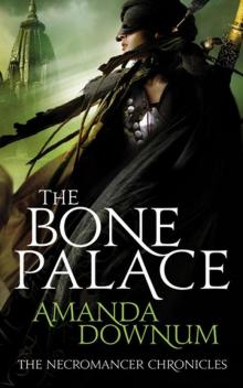 The Bone Palace Read online