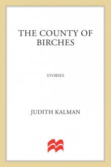 The County of Birches Read online