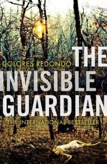 The Invisible Guardian Read online