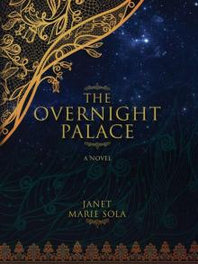 The Overnight Palace Read online