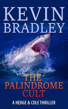 The Palindrome Cult: A gripping, page-turning, crime suspense thriller, its fast pace takes you from London to New York, via Dubai and the Virgin Islands. (Hedge & Cole Book 1) Read online