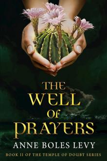 The Well of Prayers Read online