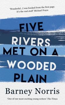Five Rivers Met on a Wooded Plain Read online