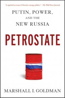 Petrostate:Putin, Power, and the New Russia Read online