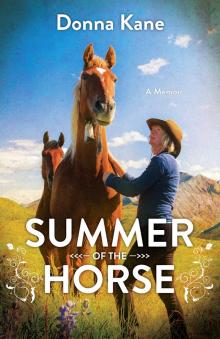 Summer of the Horse Read online