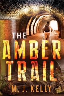 The Amber Trail Read online