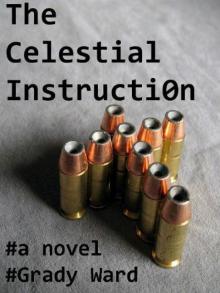 The Celestial Instructi0n Read online