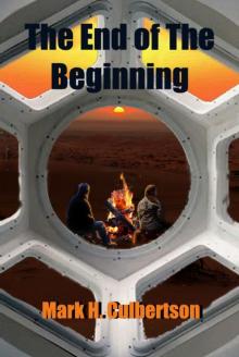 The End of the Beginning Read online