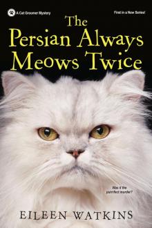 The Persian Always Meows Twice Read online