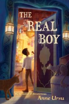 The Real Boy Read online