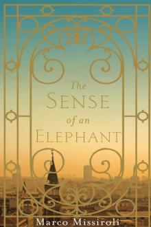 The Sense of an Elephant Read online