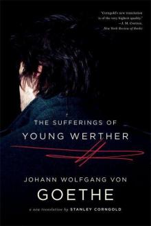 The Sufferings of Young Werther: A New Translation Read online