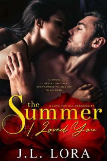 The Summer I Loved You Read online