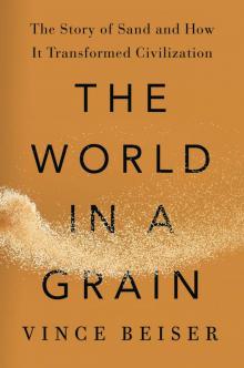 The World in a Grain Read online