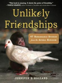 Unlikely Friendships Read online