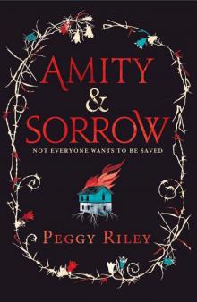Amity & Sorrow Read online