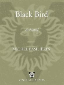 Black Bird Read online