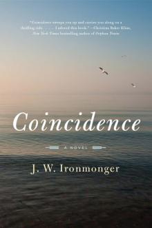 Coincidence: A Novel Read online